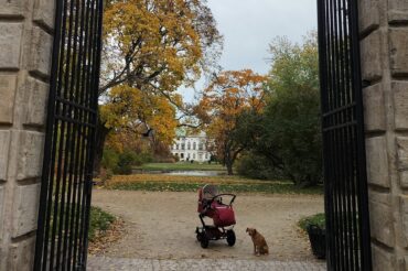 „Mamusiowe stado”